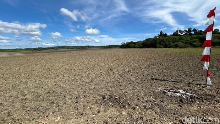 Pemerintah pusat menyiapkan lahan di Kabupaten Rote Ndao, Nusa Tenggara Timur (NTT), untuk dijadikan kawasan sentra industri garam nasional. Proyek ini akan menjadi tambak garam terbesar pertama di Indonesia dan ditargetkan mendorong tercapainya swasembada garam pada tahun 2027.