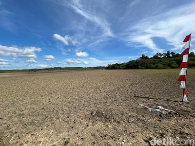 Melihat dari Dekat Lokasi Proyek Garam di NTT Rp 2 T yang Direstui Prabowo