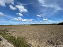 KKP Tawarkan Lahan 8.000 Ha di Rote Ndao ke Investor buat Produksi Garam