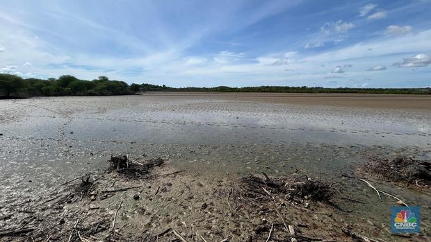 Menteri Kelautan dan Perikanan (MenKP) Sakti Wahyu Trenggono melakukan peninjauan sekaligus melihat langsung penandatanganan perjanjian kerjasama pembangunan modeling lahan garam, antara Kementerian Kelautan dan Perikanan (KKP) bersama Bupati Rote Ndao di Rote Ndao, Nusa Tenggara Timur, Selasa (3/6/2025). (CNBC Indonesia/Martyasari Rizky)