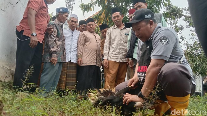 Panitia kurban di Kabupaten Indramayu belajar jadi Juru Sembelih Halal atau Juleha