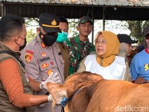 Pemeriksaan Hewan Kurban di Lamongan Digencarkan Jelang Idul Adha