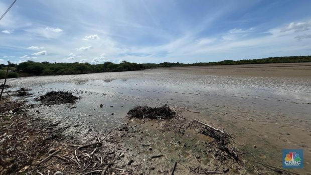 Penampakan calon tambak garam raksasa RI di Rote Ndao, NTT. (CNBC Indonesia/Martyasari Rizky)