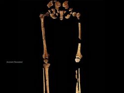 Penemuan Kuno yang Mengubah Sejarah Manusia, Ada Indonesia