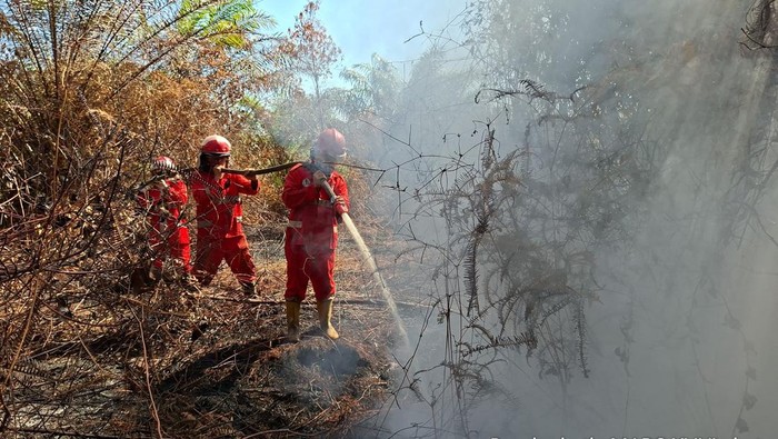 Personel memadamkan api di lahan gambut di Mukomuko, Bengkulu.