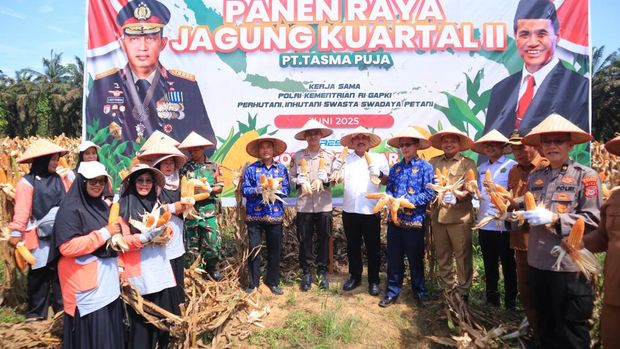 Polres Kampar Riau melaksanakan panen raya jagung.