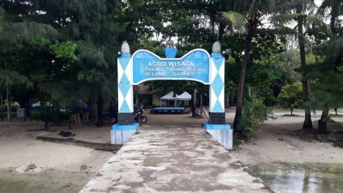 Tidung Kecil Diincar Jadi Destinasi Wisata Kucing Pulau Tidung Kecil direncanakan jadi pulau kucing oleh Pemprov DKI. Namun rencana ini menuai pro kontra dari berbagai pihak.