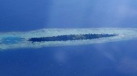 Pulau Tidung Kecil direncanakan jadi pulau kucing oleh Pemprov DKI. Namun rencana ini menuai pro kontra dari pakar hingga anggota dewan. (Dok. Wikipedia/Rochelimit)