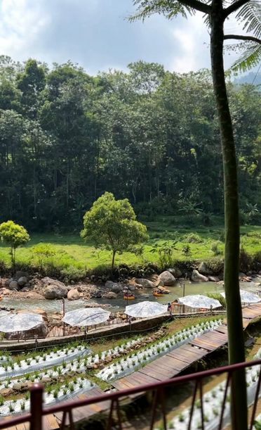 5 Resto Pemandangan Sawah yang Jadi Spot Favorit Buat Arisan