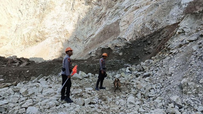 Anjing pelacak Polda Jabar bantu pencarian korban tertimbun longsor Gunung Kuda