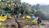 Jalur Pendakian Gunung Kerinci, Danau Gunung Tujuh, dan Masurai Kembali Dibuka