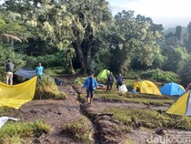 Tenang, Tak Ada Kapling-kapling Area Kemping di Gunung Kerinci