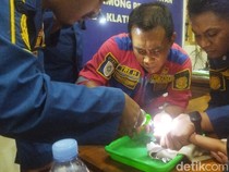 Jari Balita Nyangkut Gerendel Lemari, Damkar Klaten Ungkap Detik-detik Evakuasi