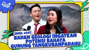 Badan Geologi Ingatkan Potensi Bahaya Gunung Tangkubanparahu