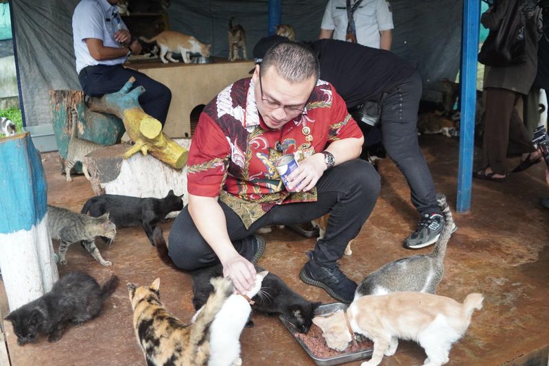 Anggota DPRD DKI Jakarta, Fraksi PDI Perjuangan Hardiyanto Kenneth Mengunjungi Tempat Penampungan Anjing di Puskeswan (Pusat Kesehatan Hewan) Ragunan.