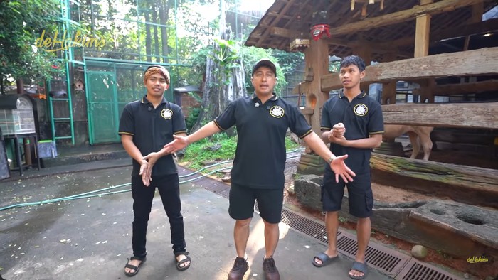 Irfan Hakim dan 8 ekor sapi miliknya