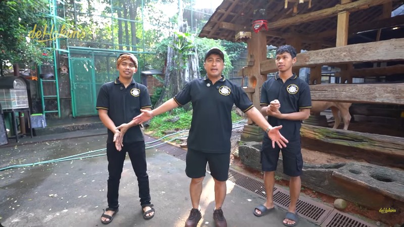 Irfan Hakim dan 8 ekor sapi miliknya