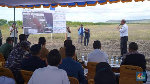 Kementerian Kelautan dan Perikanan (KKP) tengah menyiapkan berbagai tahapan untuk membangun tambak budidaya udang terintegrasi (Integrated Shrimp Farming/ISF) di Desa Palakahembi dan Kelurahan Watumbaka, Kecamatan Pandawai Kabupaten Sumba Timur, Nusa Tenggara Timur (NTT). (docs. Humas KKP)