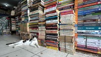 Di antara tumpukan buku dan lorong sempit lapak, semangat literasi masih bertahan meski perlahan tergerus zaman