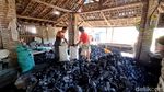 Melihat Produksi Arang Tradisional di Jombang Jelang Idul Adha