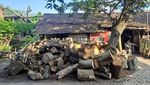 Melihat Produksi Arang Tradisional di Jombang Jelang Idul Adha