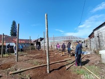 Selalu Viral Banjir Daging, Berapa Hewan Kurban di Dusun Krajan Tahun Ini?