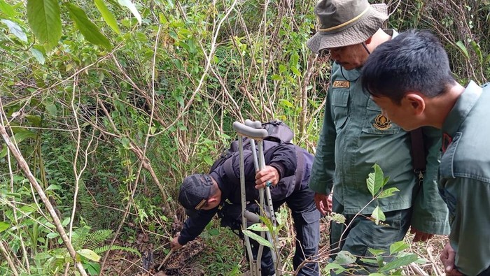 Potret bangkai macan tutul yang ditemukan di hutan Garut