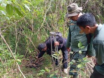 Nasib Tragis Macan Tutul Jawa: Mati Terjerat Kawat di Garut