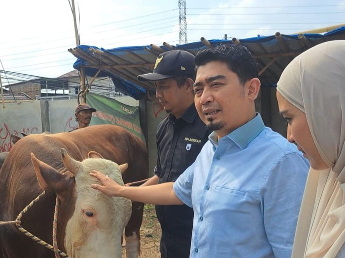 Ustaz Solmed dan April Jasmine pilih sapi kurban.