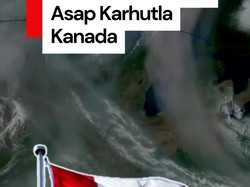 Video: Potret Ngeri Asap Karhutla Kanada Selimuti Langit AS