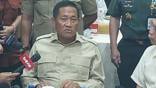 Wamenhan Marsdya Donny Ermawan (Kadek/detikcom)