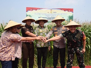 Dukung Swasembada Pangan, Pemkab Sidoarjo Bantu 300 Ton Benih Jagung