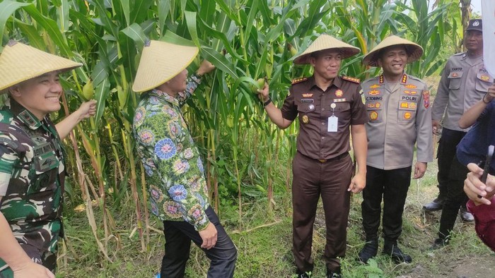 Forkopimda Sidoarjo menggelar panen raya jagung serentak kuartal II di Desa Pangkemiri, Kecamatan Tulangan,