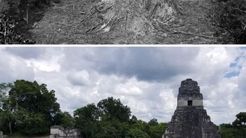 Reruntuhan Tikál, Guatemala. 1890 vs. 2023 Foto: Boredpanda