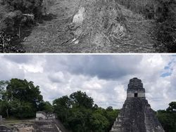 Foto Dulu vs Sekarang Ini Bikin Melongo, Perubahannya Drastis!