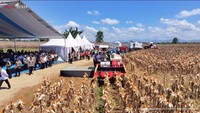 Ia menekankan bahwa kerja sama antara petani, pemerintah, dan aparat harus terus diperkuat untuk mewujudkan Indonesia yang mandiri secara pangan. Dok. YouTube Biro Pers Media