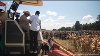 Presiden juga memaparkan bahwa produksi jagung kuartal pertama 2025 mengalami lonjakan signifikan. Dibandingkan periode yang sama tahun lalu yang hanya mencapai 6 juta ton, kini produksi meningkat hampir 50% menjadi mendekati 9 juta ton. Dok. YouTube Biro Pers Media