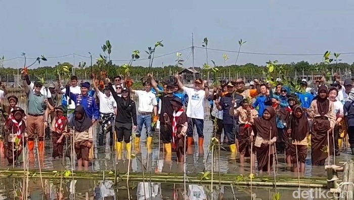 Gubernur Jateng Ahmad Luthfi menanam mangrove di Brebes, Kamis (5/6/2025).