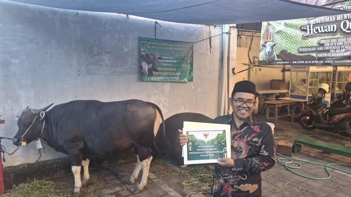 Hadi Suyitno, Ketua Umum Mushola Thoriiqussalam Sanur bersama sapi kurban dari Presiden Prabowo. Kamis (5/6/2025). (Fabiola Dianira/detikBali)