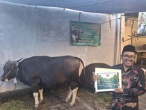 Musala Thoriqussalam Sanur Terima Kurban dari Presiden, Walkot, Turis Asing