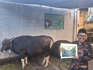 Musala Thoriqussalam Sanur Terima Kurban dari Presiden, Walkot, Turis Asing