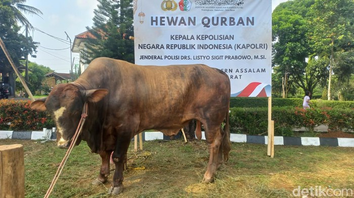 Hewan Kurban Kapolri di Ponpes Assalam Sukabumi