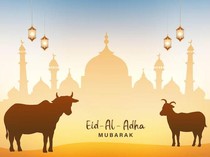 50 Twibbon Hari Raya Idul Adha 2025 dengan Desain Unik dan Menarik