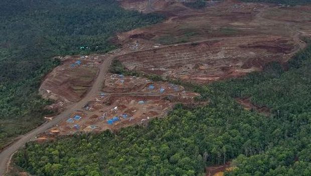 Foto udara yang diambil pada tanggal 21 Desember 2024 dan dirilis pada tanggal 31 Januari 2025 oleh Auriga Nusantara ini menunjukkan gambaran umum penggundulan hutan di suatu wilayah di Pulau Kawei di Raja Ampat, Provinsi Papua Barat Daya. AFP/HANDOUT