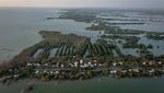 Indonesia Kehilangan 19 Ribu Hektare Hutan Mangrove Setiap Tahun