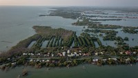 Menurut data Kementerian Lingkungan Hidup (KLH) dan Badan Pengendalian Lingkungan Hidup (BPLH), Indonesia memiliki hutan mangrove seluas 3,44 juta hektare. Angka ini mencakup sekitar 23 persen dari total hutan mangrove dunia yang mencapai 14,7 juta hektare. Namun, luas tersebut terus menyusut setiap tahunnya. ANTARA FOTO/Aji Styawan