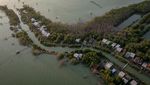 Indonesia Kehilangan 19 Ribu Hektare Hutan Mangrove Setiap Tahun