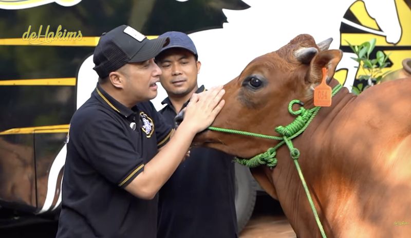Irfan Hakim Sapi-sapi kurban Irfan Hakim.