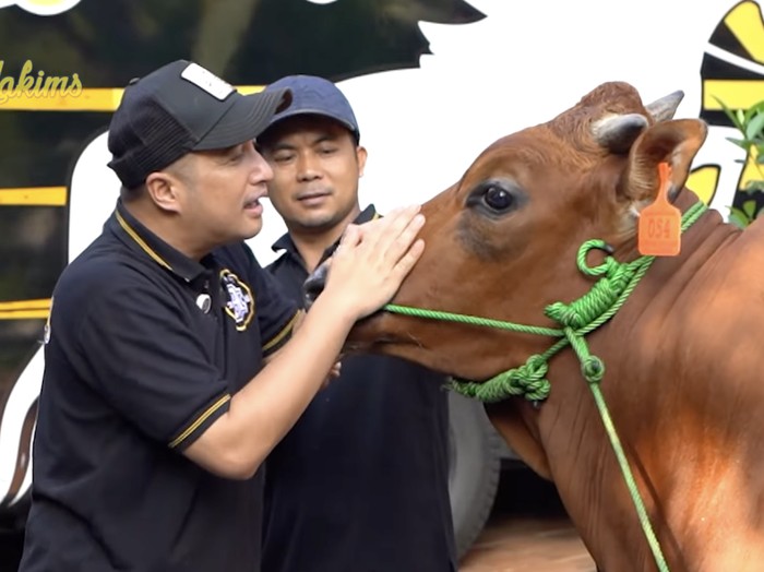 Irfan Hakim Sapi-sapi kurban Irfan Hakim.