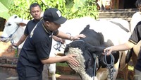 Ini namanya Hermes. Sudah diniatkan akan dikurbankan untuk keluarga kakak Irfan Hakim, Awan di Bandung. Foto: dok. Capture Channel YouTube deHakims